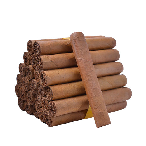 House Blends Robusto