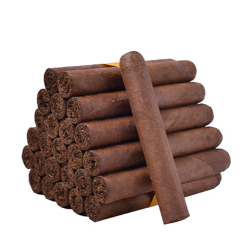 House Blends Robusto