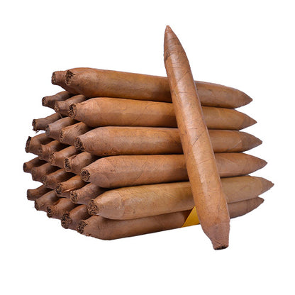 House Blends Salomon