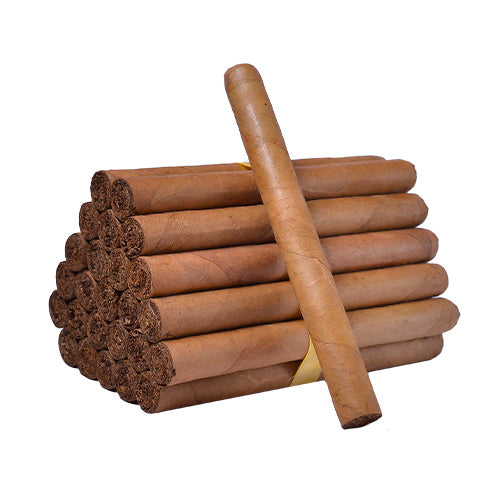 House Blends Churchill