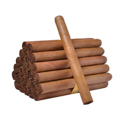 House Blends Churchill