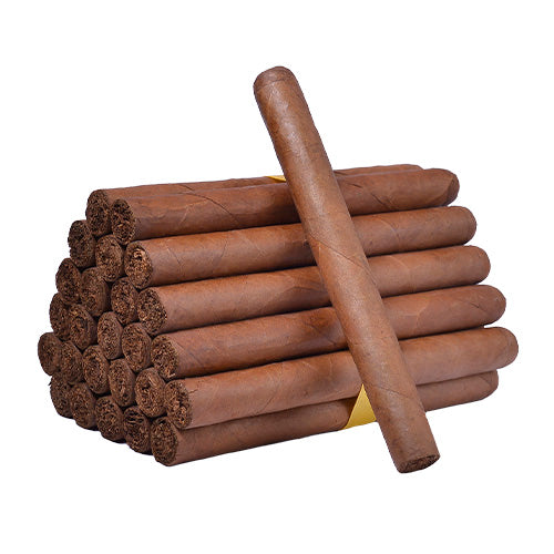 House Blends Churchill