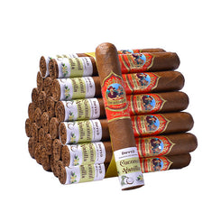 The Roller Ash Cocovan